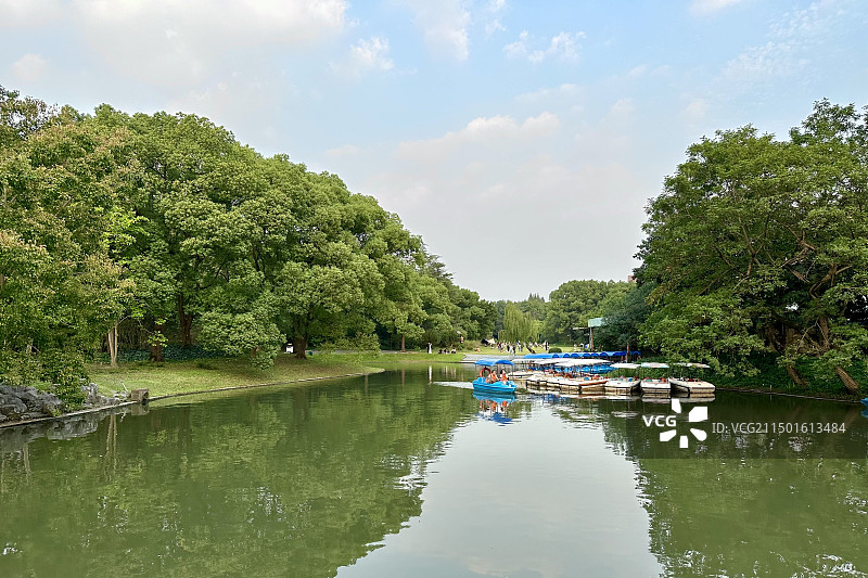 上海植物园，平静的湖面，游船，和远处的草地树林图片素材