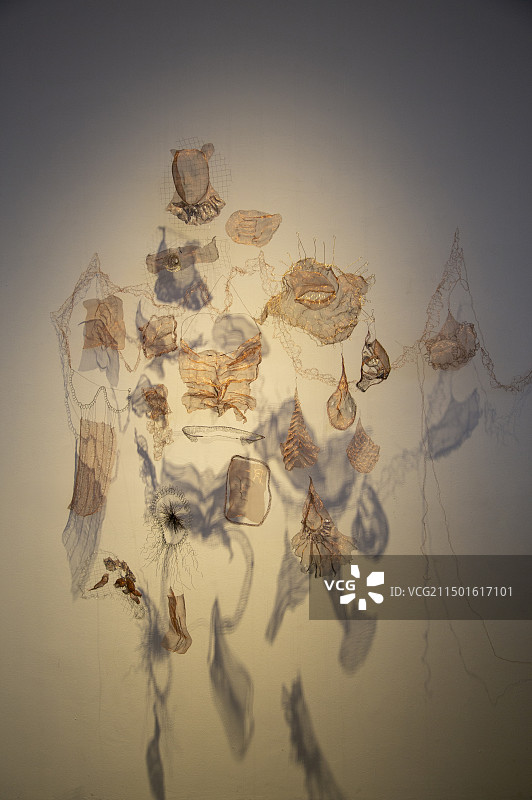 四川美院毕业生作品展示图片素材