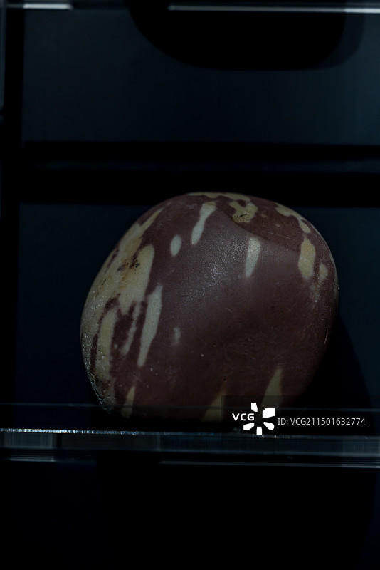 金沙博物馆建筑及馆藏文物图片素材