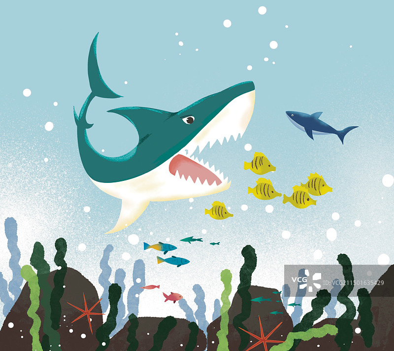 彩色插画海底世界海洋动物鲨鱼生物生态水鱼类海藻地球环境手绘扁平风图片素材