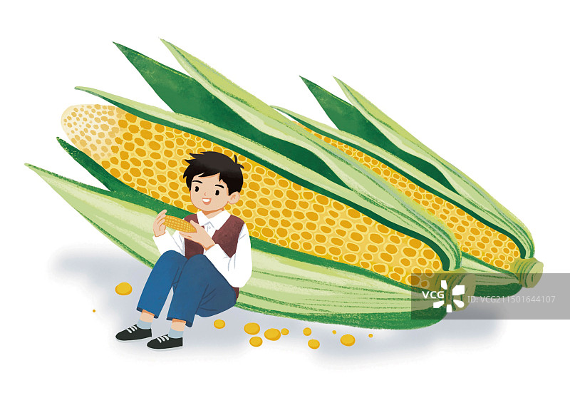 彩色插画吃玉米特写男孩童年健康饮食乡村生活棒子粮食粗粮幸福生活手绘扁平风图片素材