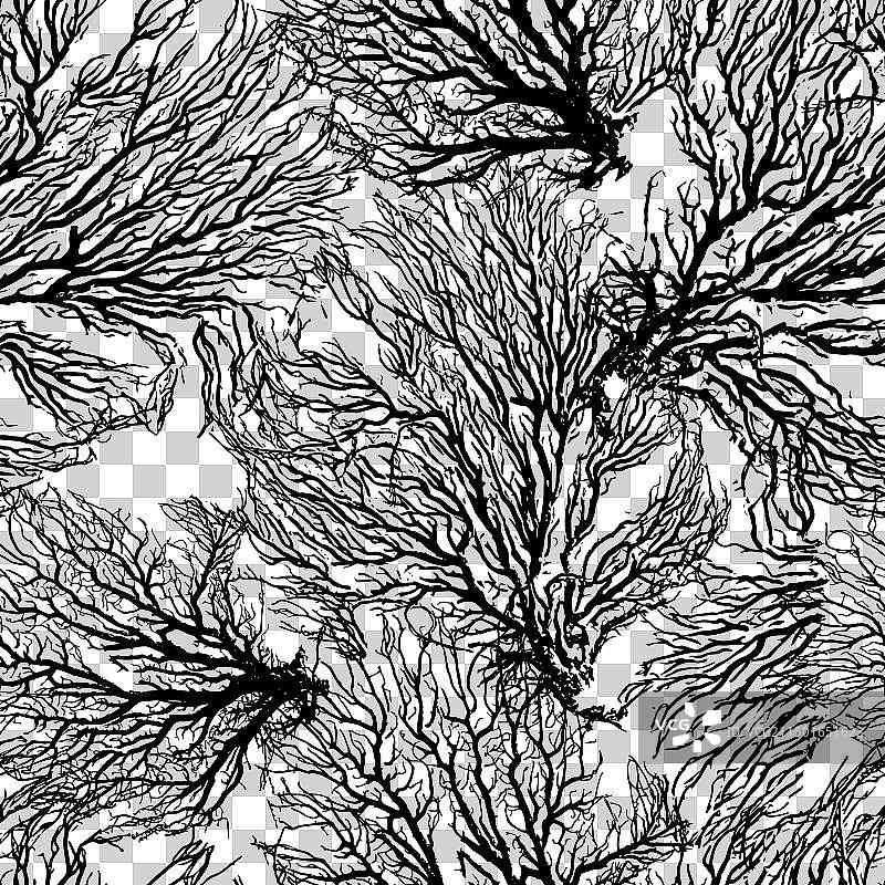 单色珊瑚无缝背景图片素材