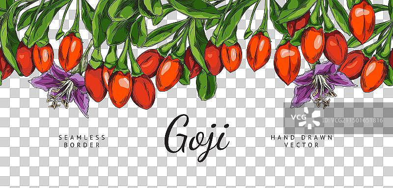 手绘彩色枸杞边框图片素材