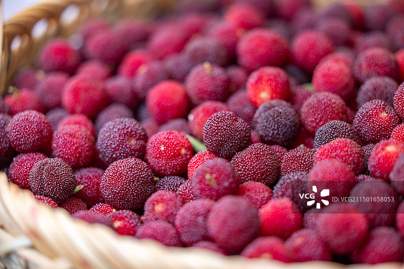 江苏省宜兴市阳羡采摘好的杨梅水果静物图片素材