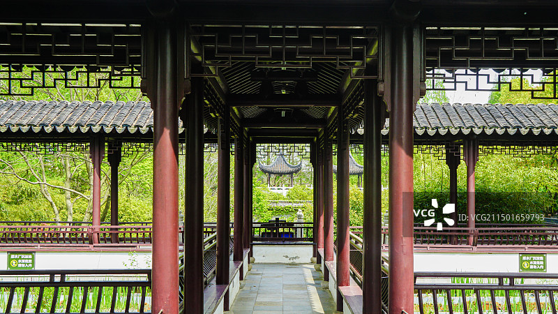 江南园林亭林园夏日风光图片素材