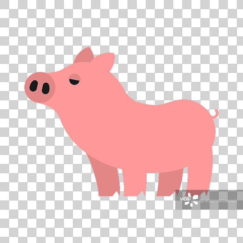粉色小猪，农场动物图片素材