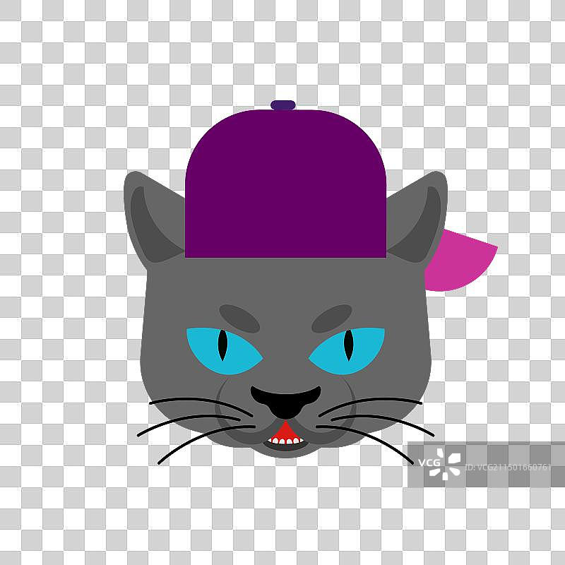 猫咪匪徒表情，愤怒的宠物图片素材