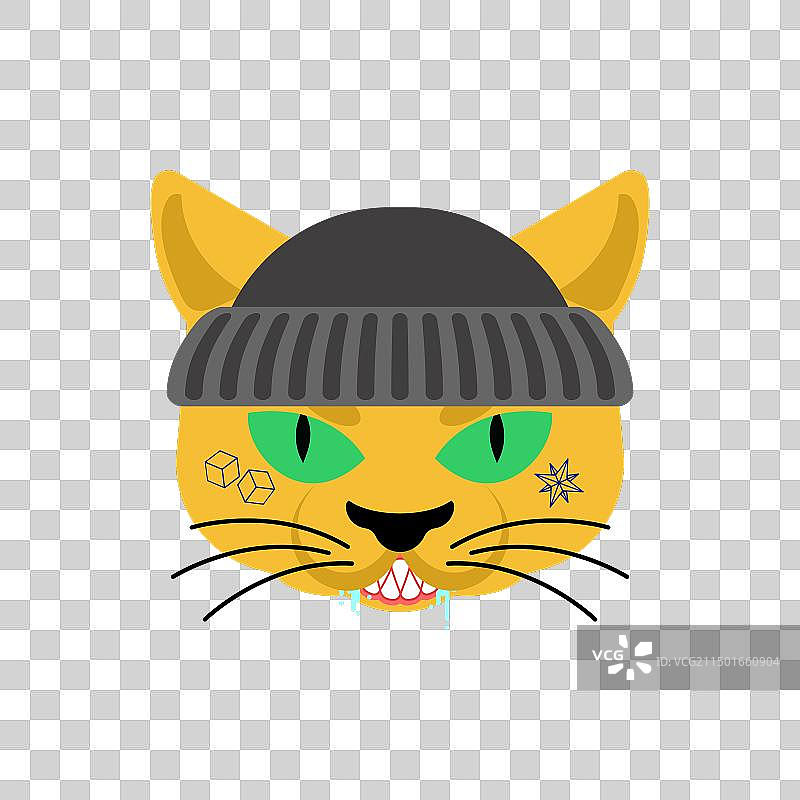 猫咪匪徒表情，愤怒的宠物图片素材