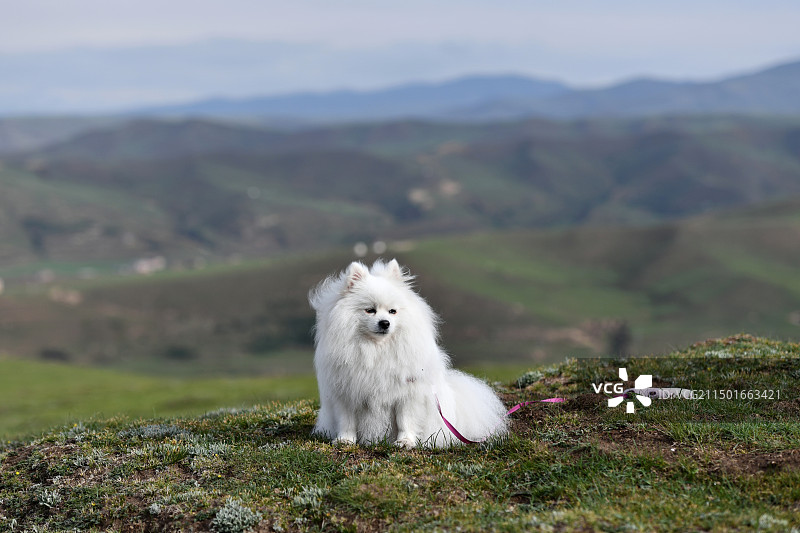 登高望远图片素材