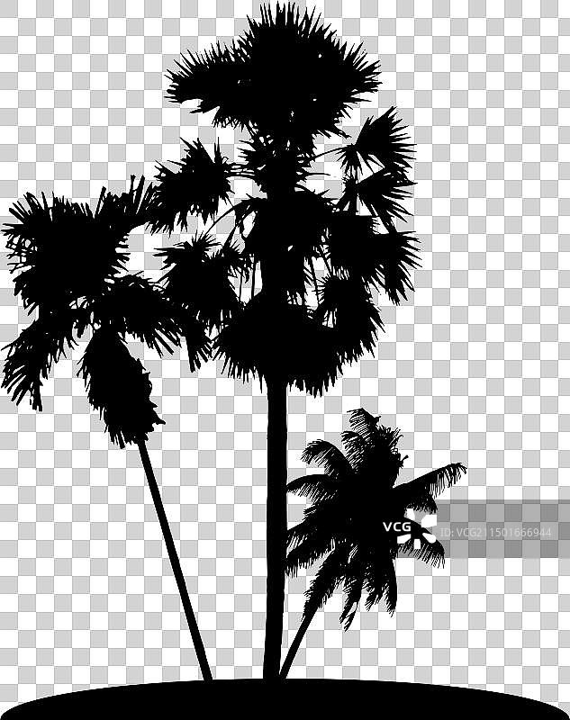 白色背景上的黑色棕榈树图案图片素材