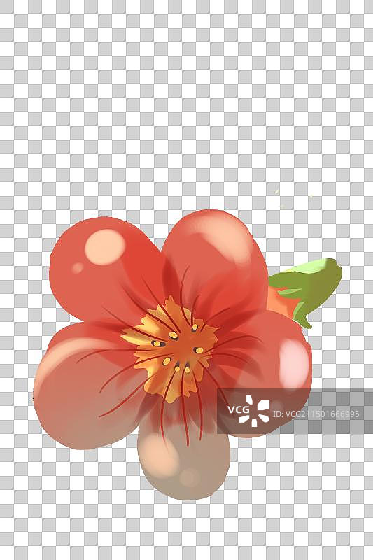 手绘可爱盛开的凌霄花图片素材