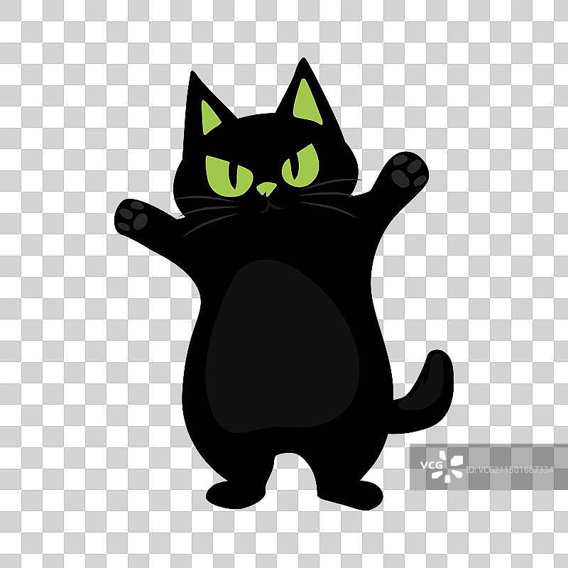 可爱的快乐黑猫照片图片素材