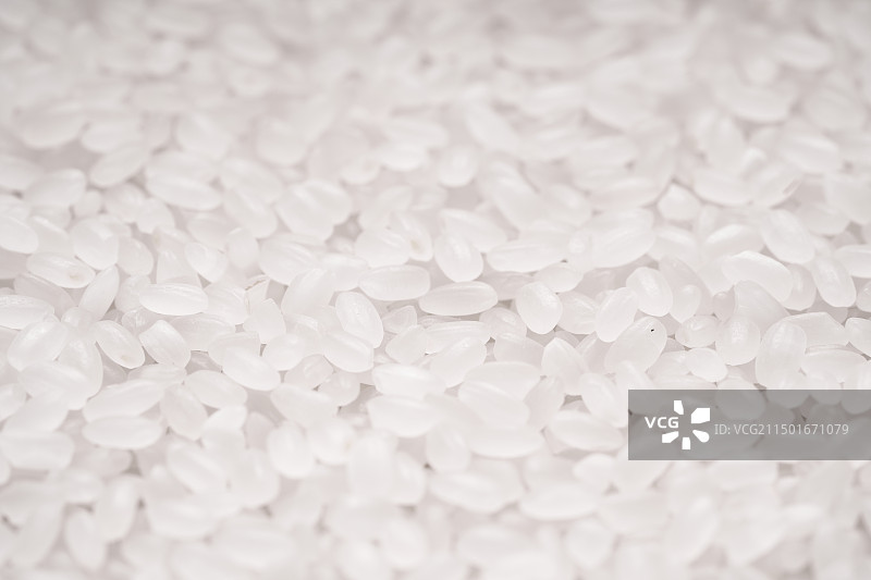 雪白的大米颗粒物特写镜头图片素材