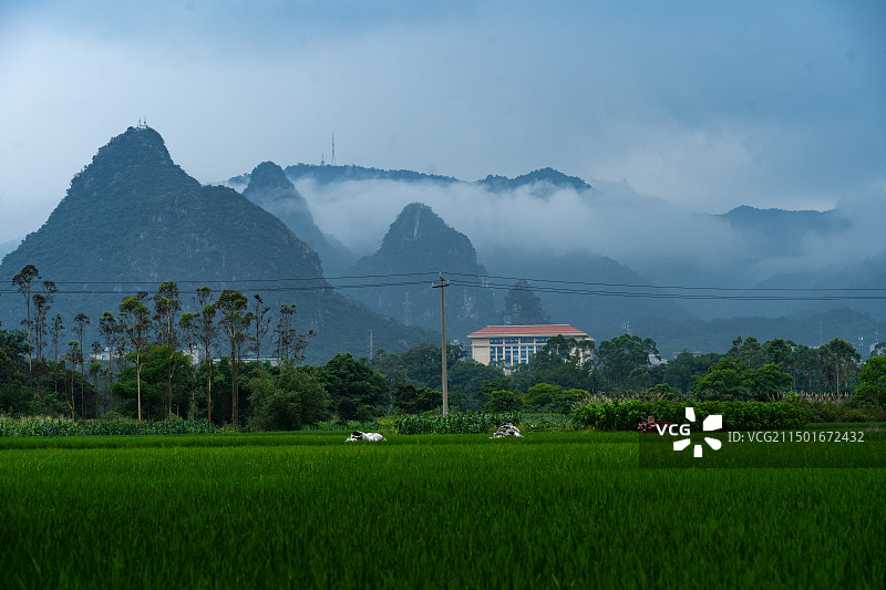 桂林尧山夏日云海、稻田、喀斯特景观图片素材