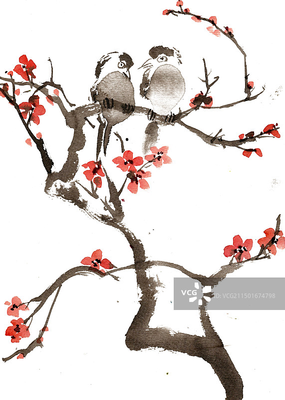 梅花枝上的小鸟图片素材