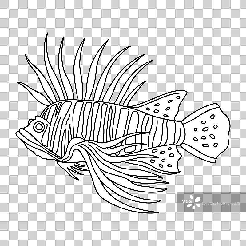 手绘热带鱼线条艺术填色页图片素材