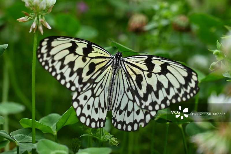 西北农林科技大学博览园图片素材