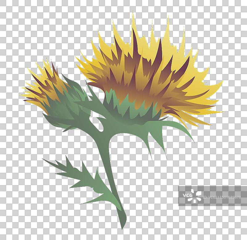 平面设计黄色红花图片素材