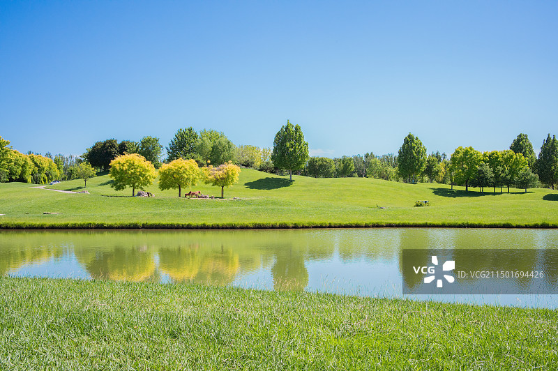 蓝天草地图片素材