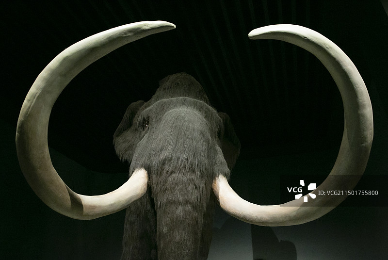 大庆博物馆景区图片素材