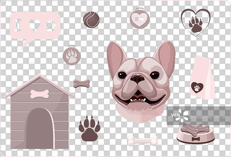 宠物护理主题素材图片素材