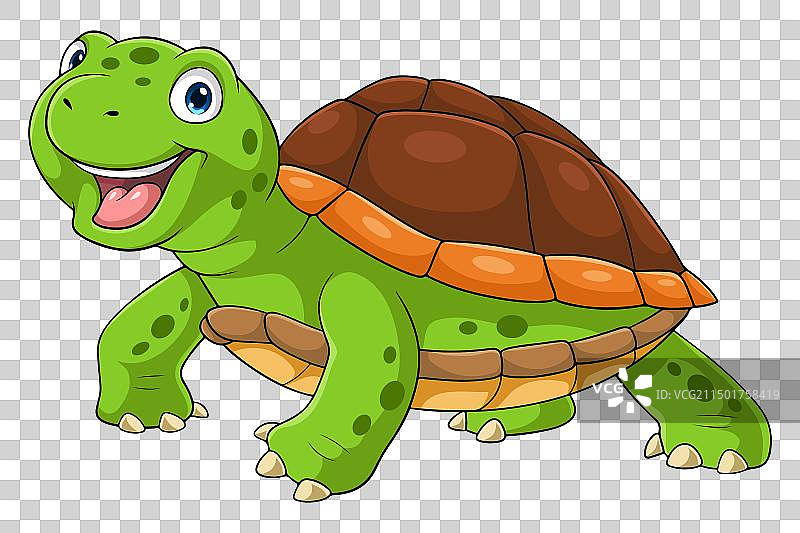 白色背景下的卡通趣味海龟图片素材
