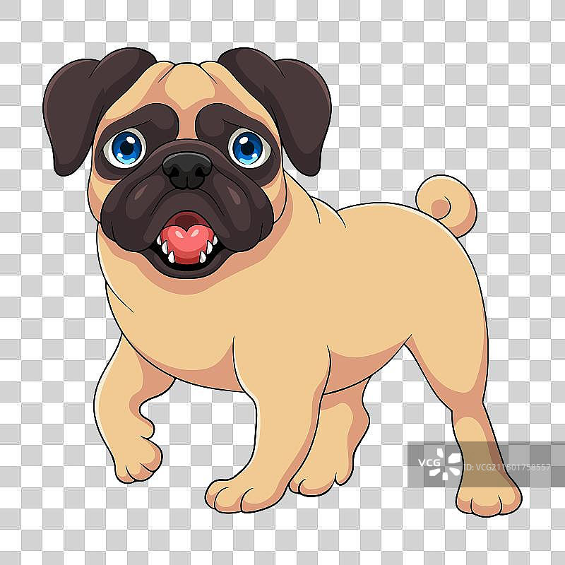 白色背景上孤立的可爱巴哥犬卡通图片素材