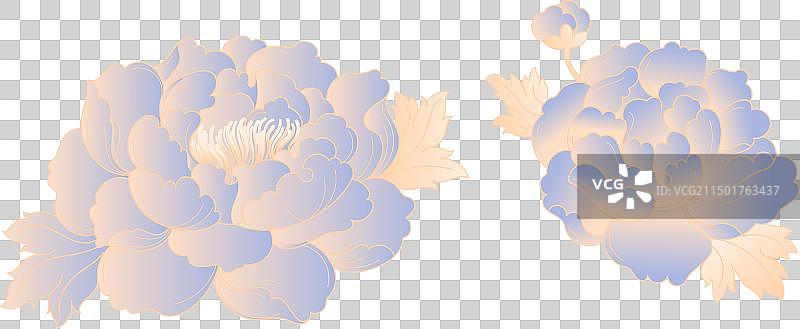 两朵淡紫色牡丹花国潮插画图片素材