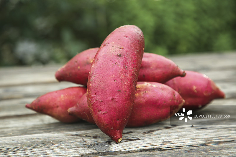 玛莎莉红薯图片素材