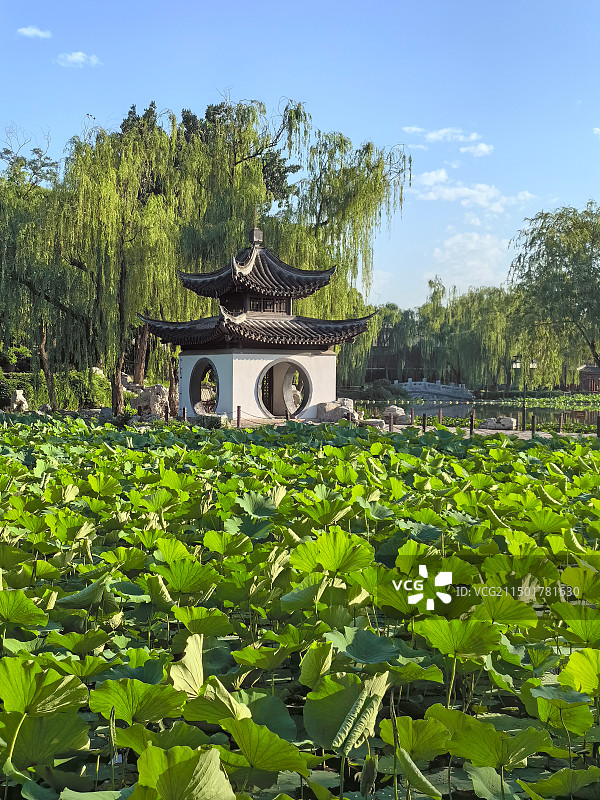 夏日清晨北京陶然亭公园的吹台亭图片素材