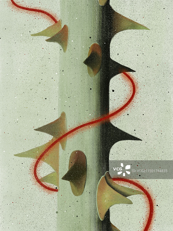 带刺的植物图片素材