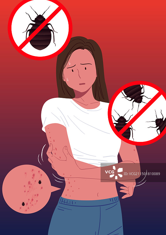 臭虫、虫子、害虫、抓挠图片素材