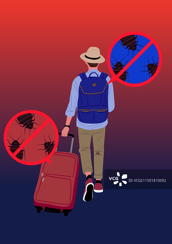 臭虫、昆虫、害虫、行李箱、旅行者图片素材