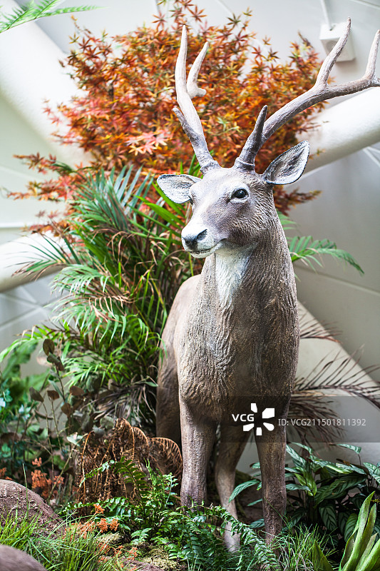 鹿雕塑动物模型图片素材