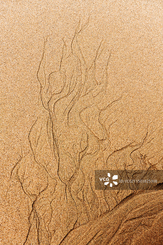 大嵛山岛海岸沙滩图案图片素材