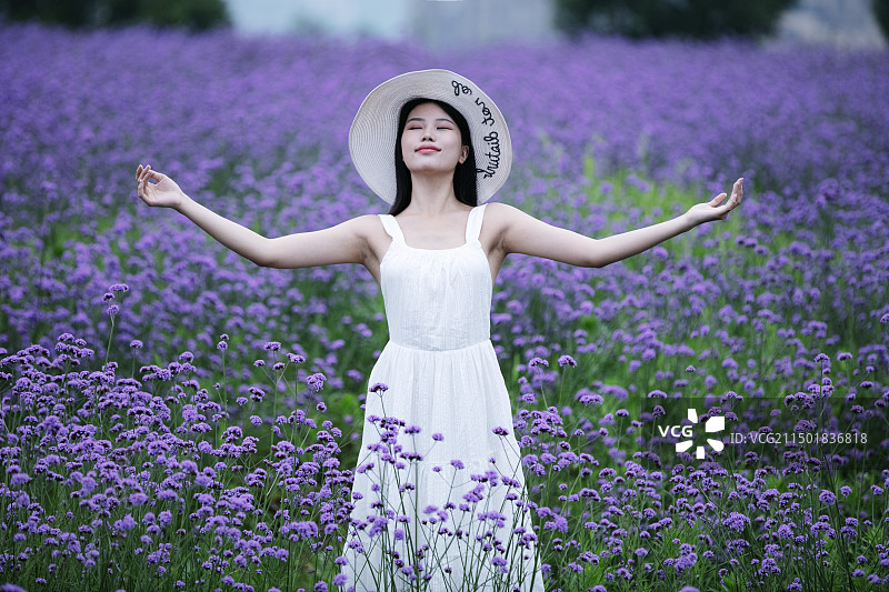 穿白色连衣裙的年轻女人张开手臂在花海里图片素材