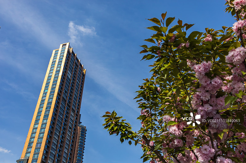 高层建筑图片素材