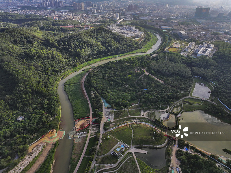 深圳龙岗河湿地公园图片素材