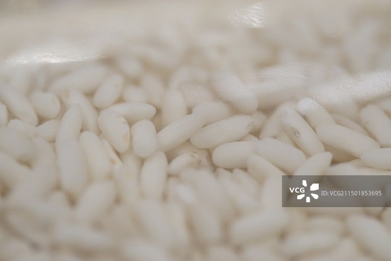 糯米特写图片素材