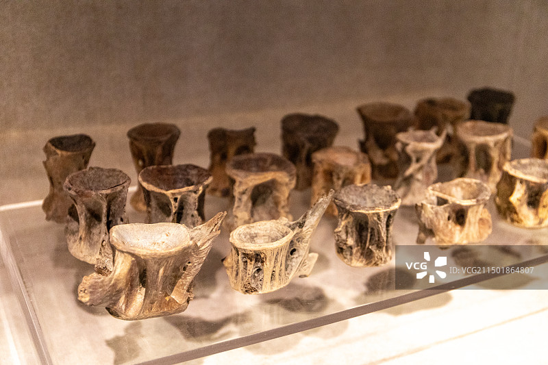 新石器时代 河姆渡文化 田螺山遗址 鲸肋骨图片素材