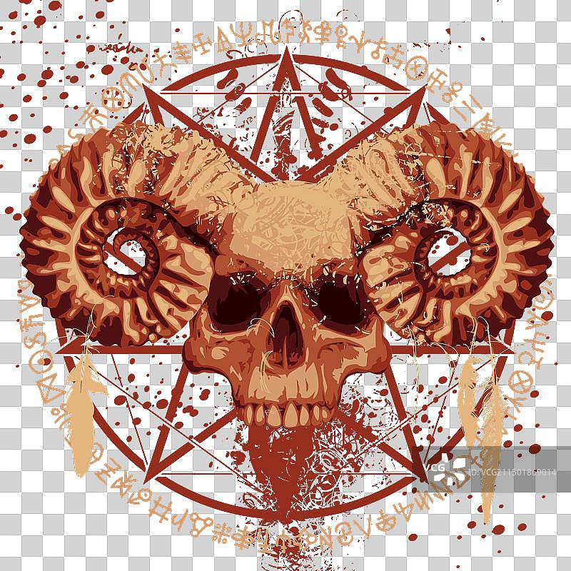 羊角乌鸦羽毛骷髅头图片素材