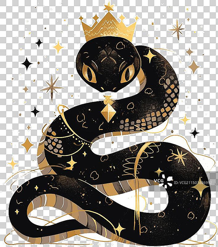 戴着皇冠的2025年黑色蛇图片素材