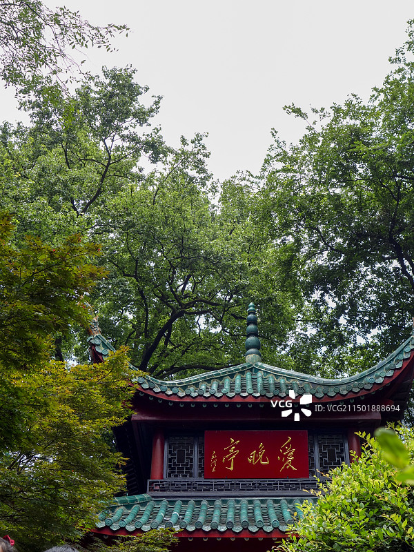 长沙岳麓山树林中的爱晚亭图片素材