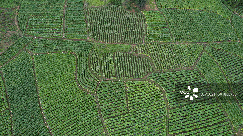 航拍田园风光图片素材