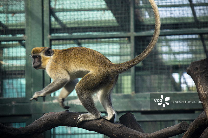 无锡动物园太湖欢乐园图片素材