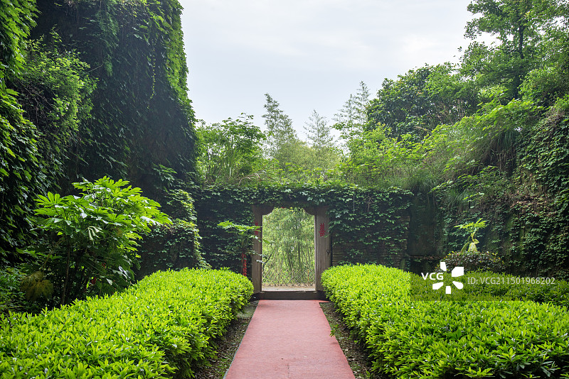 台州三门县蛇蟠岛景区图片素材