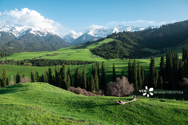 北疆风光图片素材