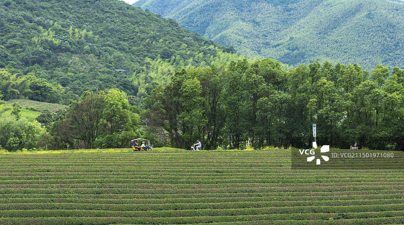 绿色出行图片素材