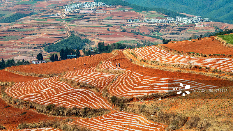 云南东川红土地春播图片素材