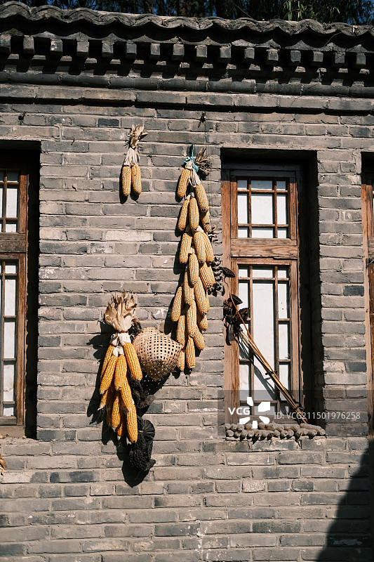 北方的秋冬，砖瓦结构的房屋墙上挂着金灿灿的玉米和鱼篓，窗台上放着晒干的莲蓬，给人丰收的喜悦图片素材